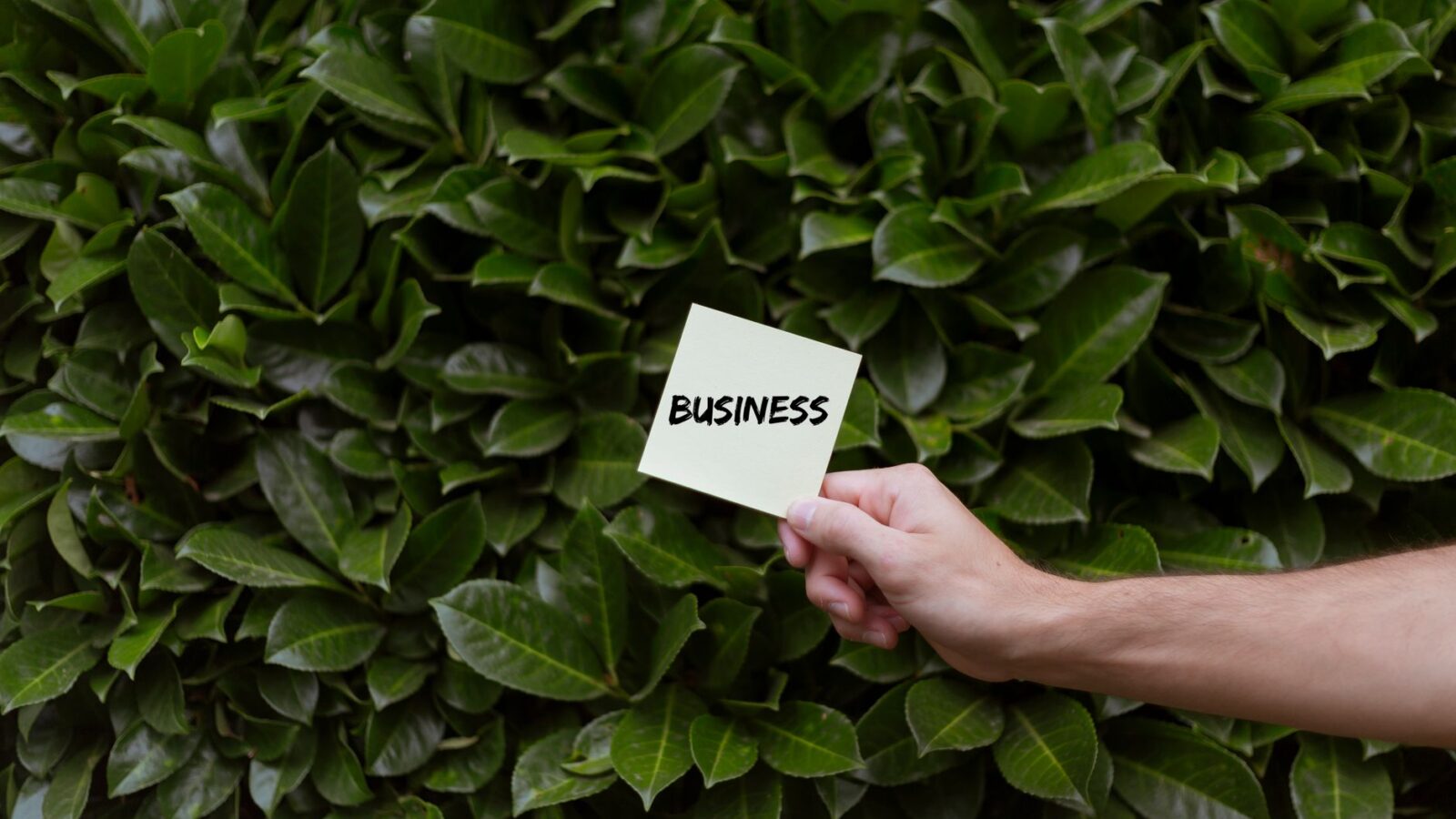 Empresa com pilares ESG fortalecidos via patrocínio cultural
