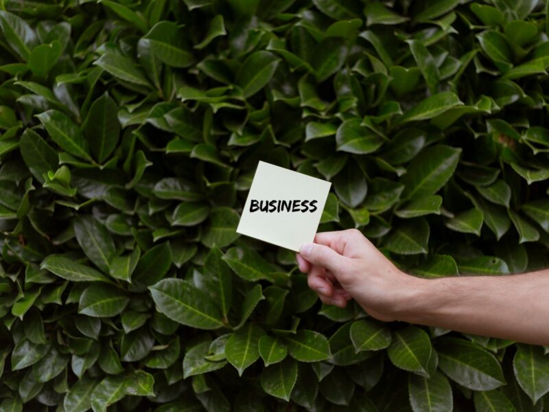 Empresa com pilares ESG fortalecidos via patrocínio cultural