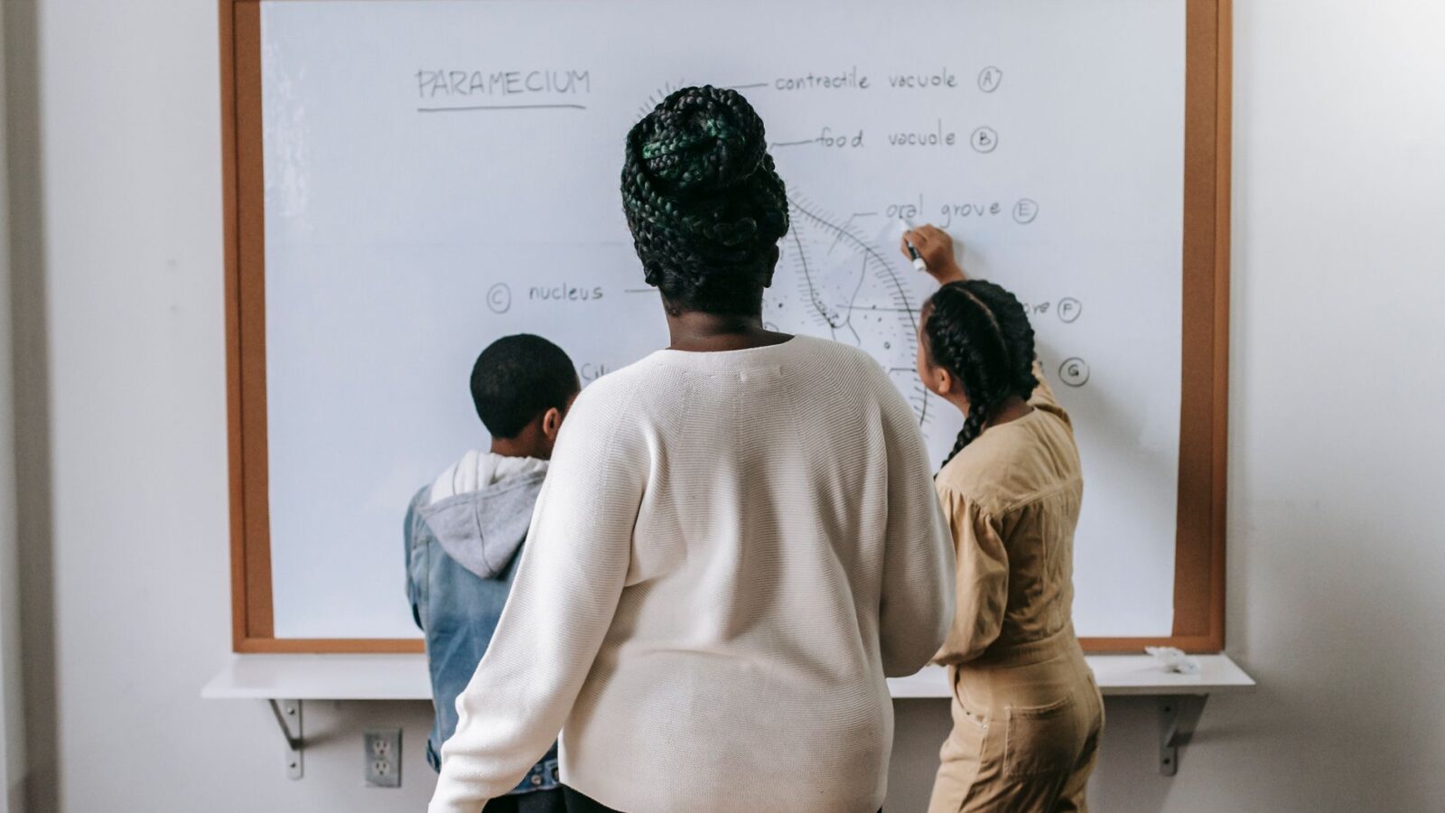 BNCC — professora planejando aulas alinhadas à Base Nacional Comum Curricular