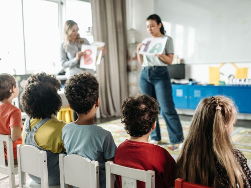 cadernos pedagógicos pneei professores aee