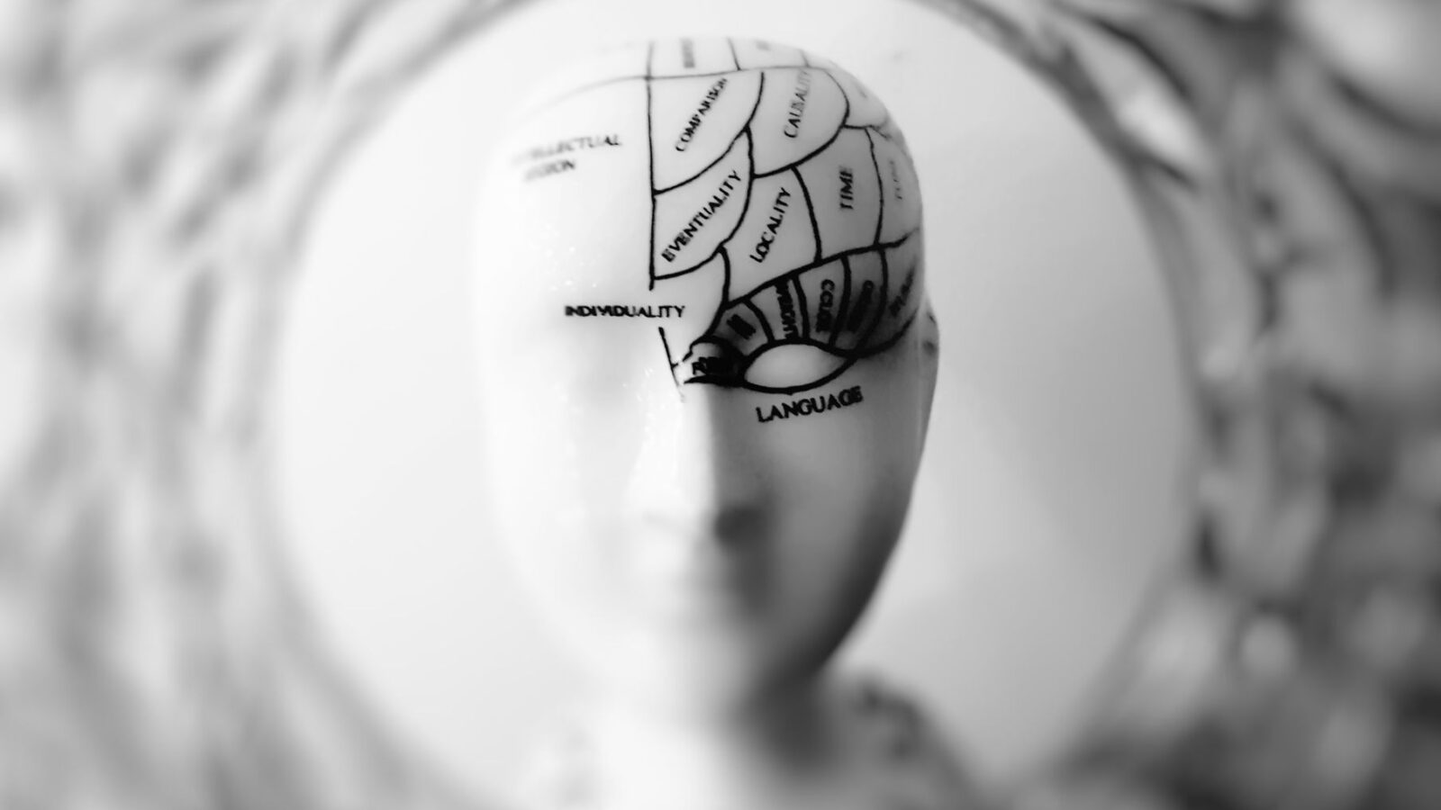 neurociência e aprendizagem
