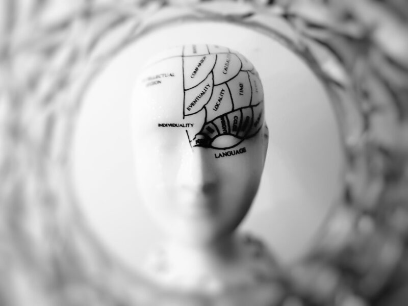 neurociência e aprendizagem